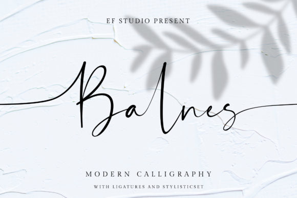 Balnes: A Bold Script Font for Memorable Brand Identity