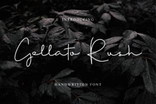Gellato Rush Review: A Bold Script for Modern Brands