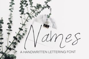 Names: A Script Font Built for Real Brand Identity