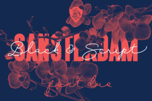 Sansterdam: A Modern Script Typeface for Bold Web Design